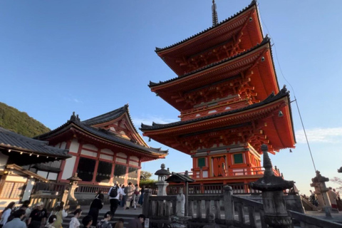 Kyoto : Kiyomizu-dera et Fushimi Inari visite d&#039;une demi-journée