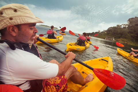 Manuel Antonio: Kayak di mare o SUP - Guida turistica della Costa Rica