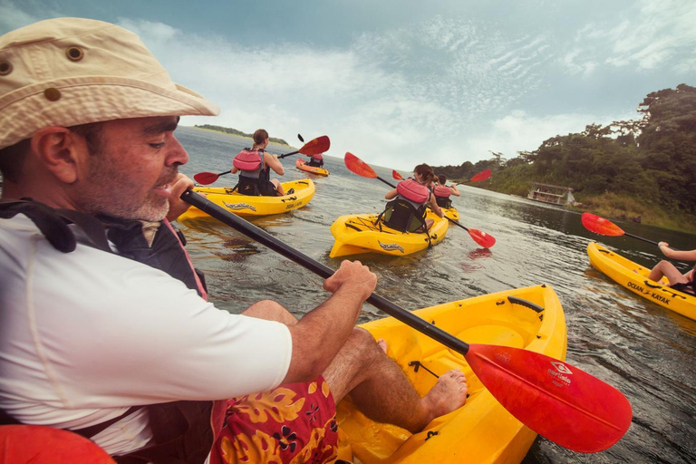 Manuel Antonio: Kayak di mare o SUP - Guida turistica della Costa Rica