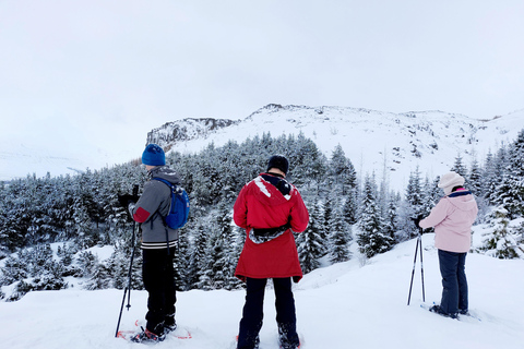 Akureyri: Snowshoeing with The Traveling Viking