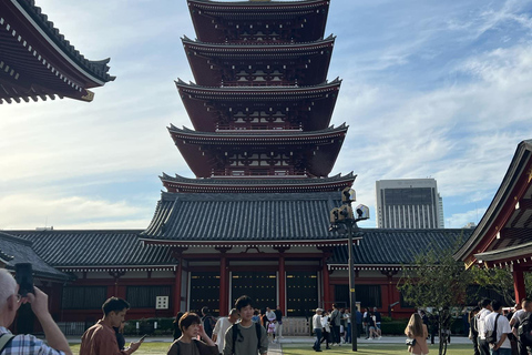 Tour privado en coche por Tokio - Guía de habla inglesa