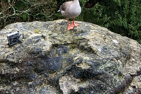 From Dresden: Table mountains Lilienstein & Königstein tour