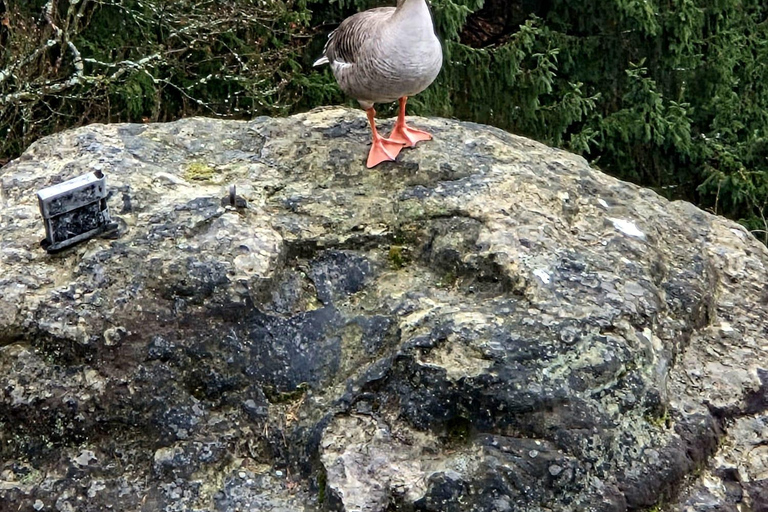 From Dresden: Table mountains Lilienstein & Königstein tour
