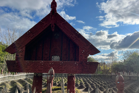 GROTTES DE RUAKURI ET JARDINS DE HAMILTON - Excursion d&#039;une journée au départ d&#039;AucklandGROTTES DE RUAKURI ET JARDINS HAMILTON - Excursion d&#039;une journée au départ d&#039;Auckland