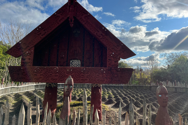 GROTTES DE RUAKURI ET JARDINS DE HAMILTON - Excursion d&#039;une journée au départ d&#039;AucklandGROTTES DE RUAKURI ET JARDINS HAMILTON - Excursion d&#039;une journée au départ d&#039;Auckland