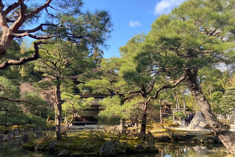 E-Bike Tour in Kyoto with Asuka, Japanese graduate student