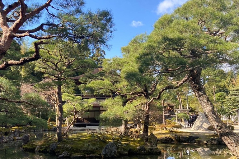 E-Bike Tour in Kyoto with Asuka, Japanese graduate student