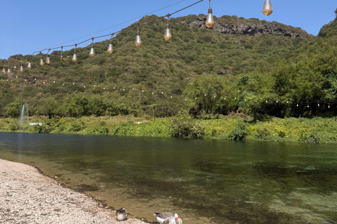 Salalah Local Life Tour: Camels, Coast & Natural Wonders