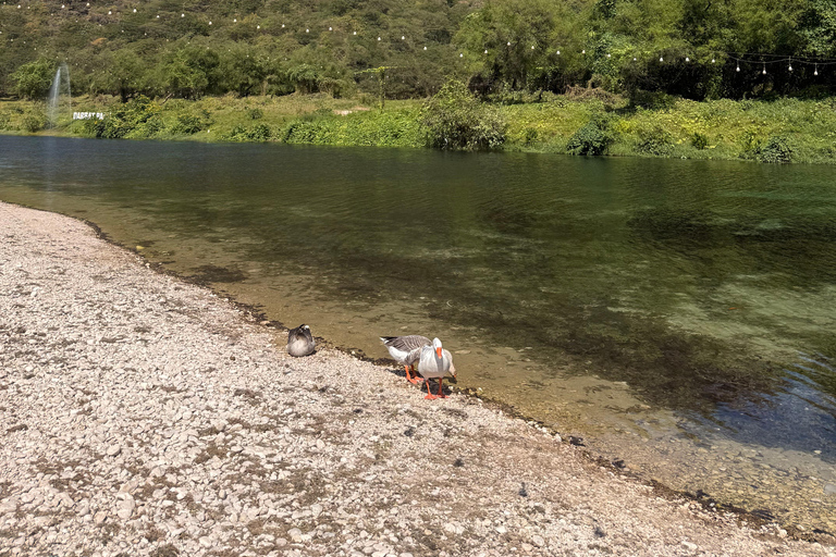 Salalah Local Life Tour: Camels, Coast & Natural Wonders