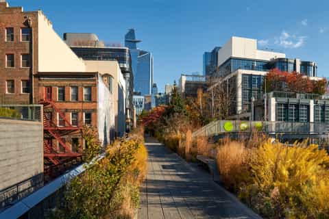 Hudson Yards and High Line guided tour with optional Edge ticket