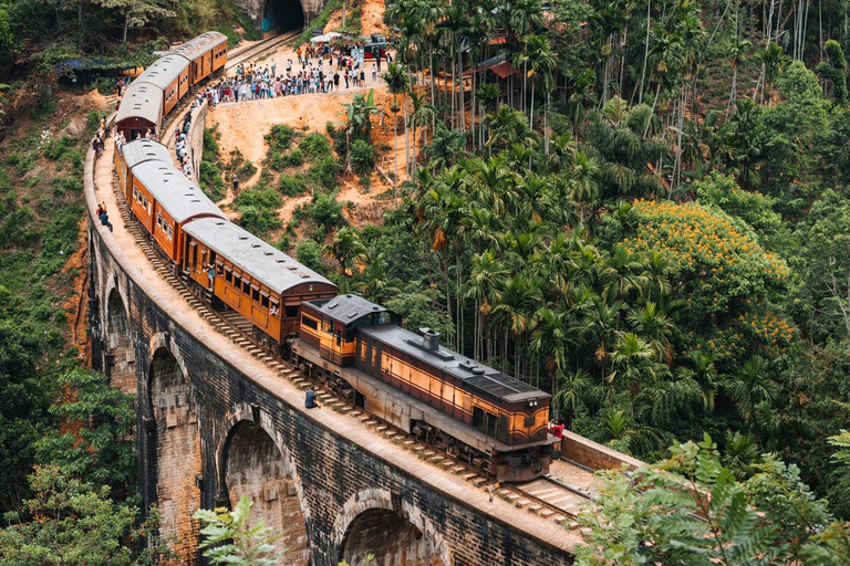 Sri Lanka: 4-Day Private Tour with Hotel & Sightseeings All Included Package