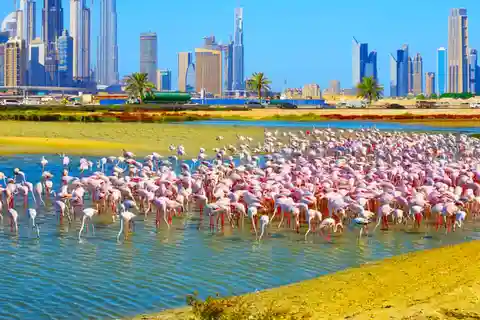 Dubaj: Wycieczka po mieście, dzika przyroda, jezioro miłości, złoto i przyprawy