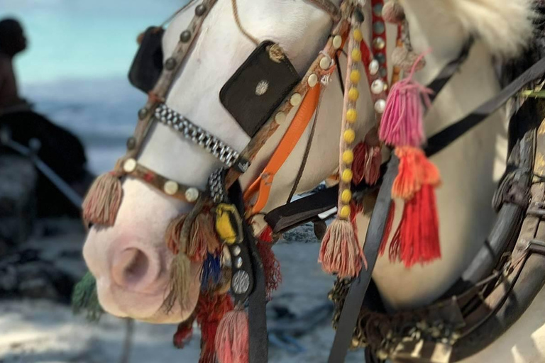 7 Days Bali and Gili Islands Experience