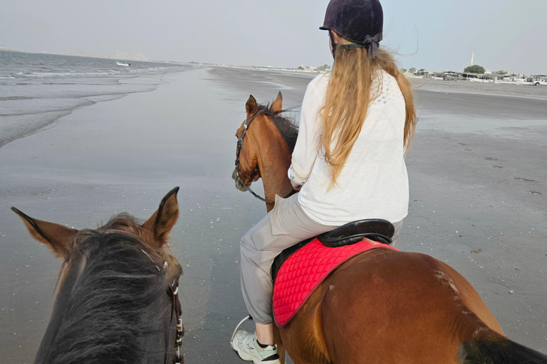 Reiten im Oman