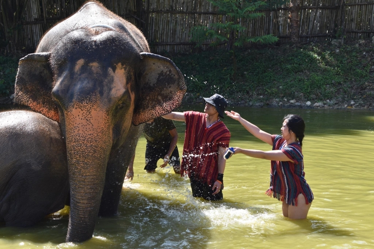 Phuket: Sanktuarium etycznej opieki nad słoniami Nai Dee PhuketOpcja A: Pełne półdniowe doświadczenie