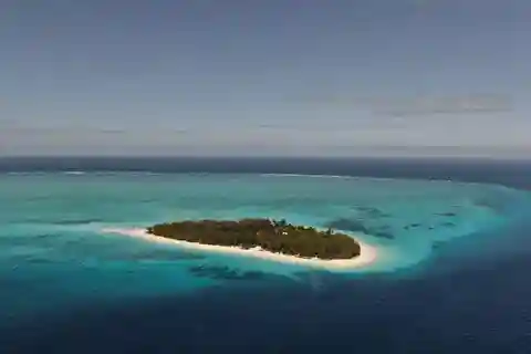 Foresta di Jozani, Tour a cavallo, Pranzo alla Roccia, Spiaggia di Paje
