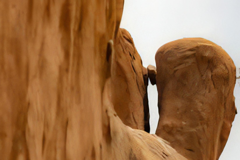 Au départ de Swakopmund : visite guidée d&#039;une jounée à Spitzkoppe