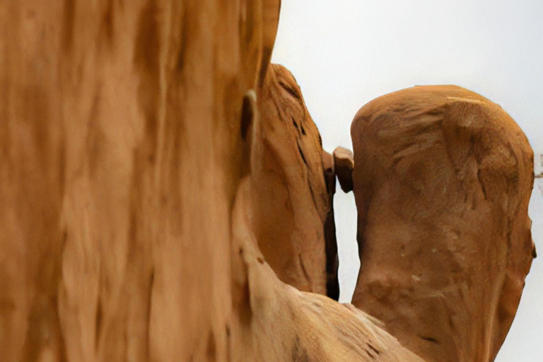 Au départ de Swakopmund : visite guidée d&#039;une jounée à Spitzkoppe