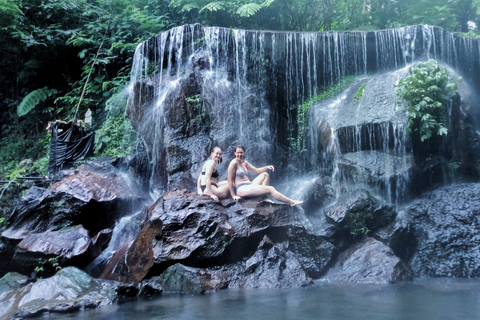 Ubud: tour privato delle gemme nascoste e delle cascateTour di un giorno intero con pranzo