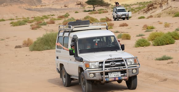 Marsa Alam: Wadi El Gemal National Park Jeep Tour & Dinner