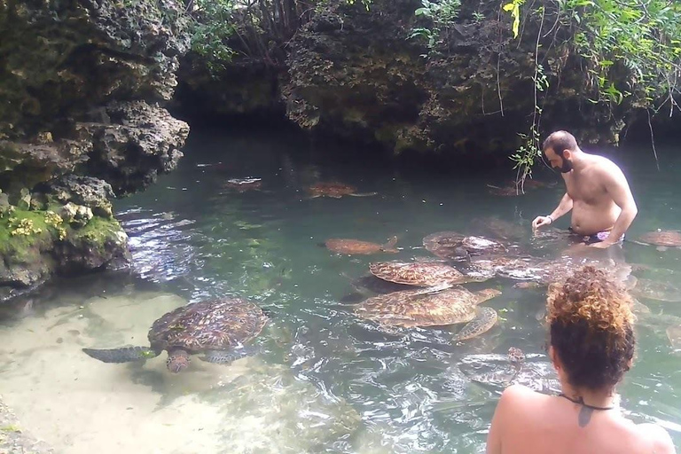 Salam cave aquarim, praia de Mtende e a rocha