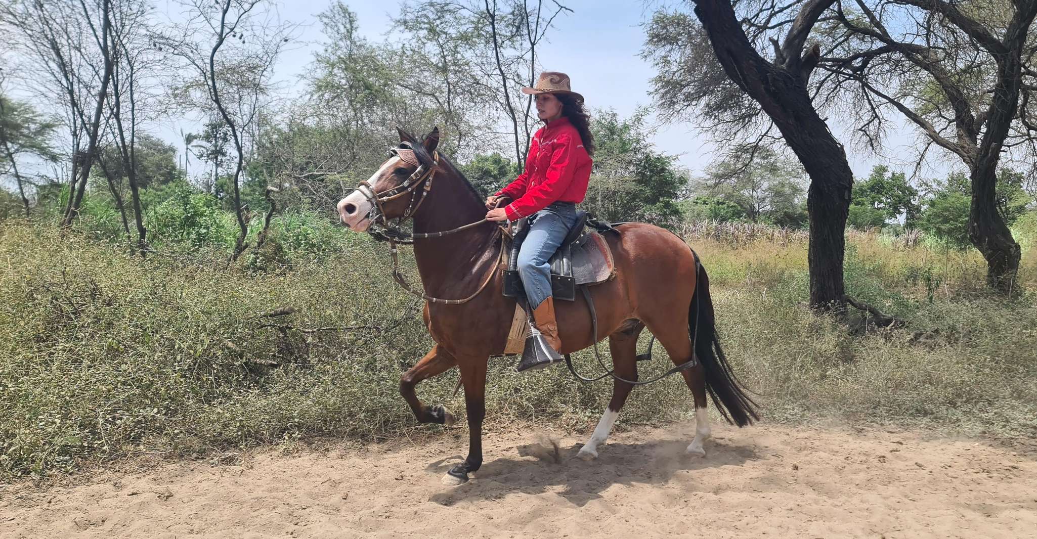 2 days tour - Horse riding / Pyramids of Tucume - Housity