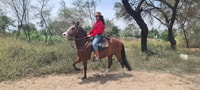 Tour de 2 días: paseando a caballo / pirámides de Tucume - Housity