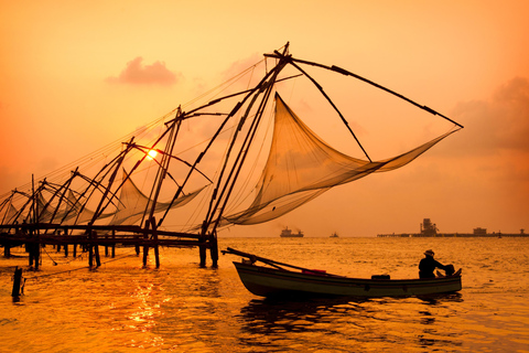 Vanuit Cochin: Fort Kochi Tour van dezelfde dag met Nederlands Paleis