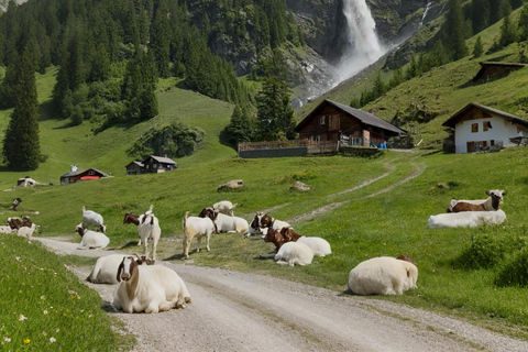 From Zurich or Lucerne: Stäubenfall Waterfall Hike & Picnic
