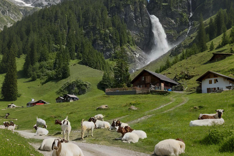 From Zurich or Lucerne: Stäubenfall Waterfall Hike & Picnic