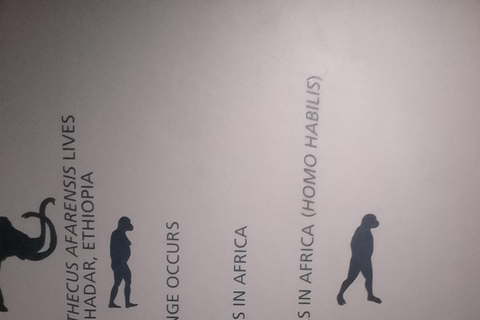 Johannesburg: Cradle of Humankind Guided Tour with Pickup Gradle of humankind Half day tour
