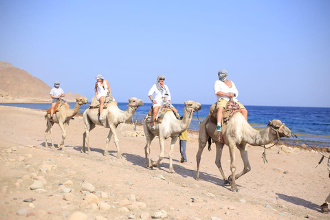 Sharm: Jeep, Salama Canyon, Snorkel, Camel , ATV ride& Dahab Sharm: Jeep, Salama Canyon, Snorkel, Camel , ATV & Dahab