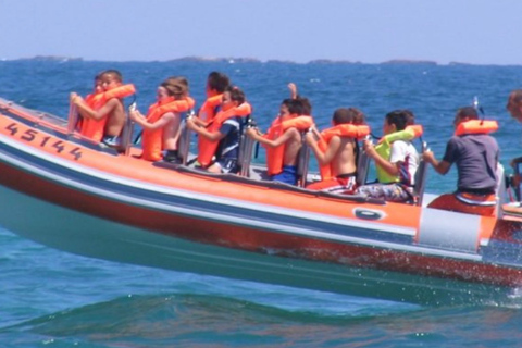 Tel Aviv: Tornado High Speed Thrill Boat Ride from JaffaTel Aviv: Tornado High Speed Thrill Boat Ride