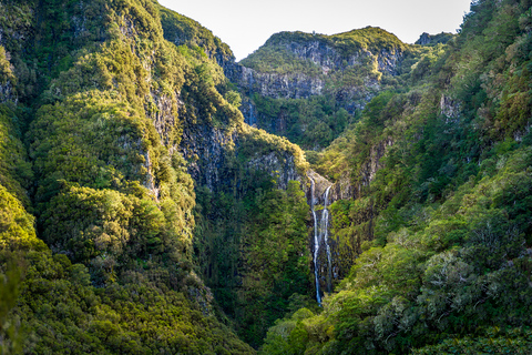 Madeira: Desfrute de uma caminhada guiada de levada no Vale do RabaçalExcursão compartilhada em grupo