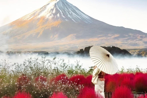 Mount Fuji Or Hakone Private Tour From Tokyo (Customizable) Van ( Toyota Vellfire or Alphard)