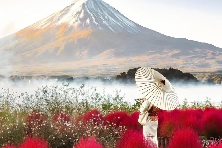 Mount Fuji Or Hakone Private Tour From Tokyo (Customizable) Van ( Toyota Vellfire or Alphard)