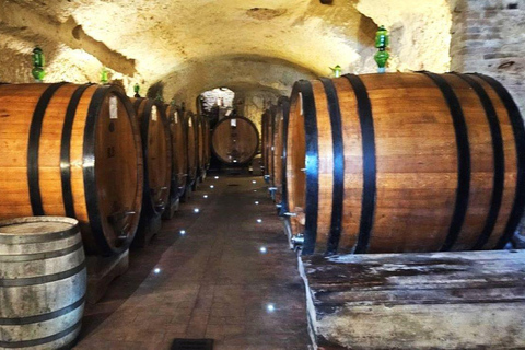 From Rome: Tuscany, Montepulciano Tour with Wine & Lunch English Tour Option