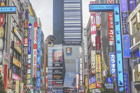 Shinjuku Walking Tour with Local Guide