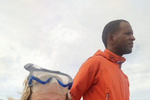 Snorkeling z żółwiami