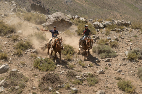 Phoenix: Cowboy Cookout Horseback Ride with Dinner