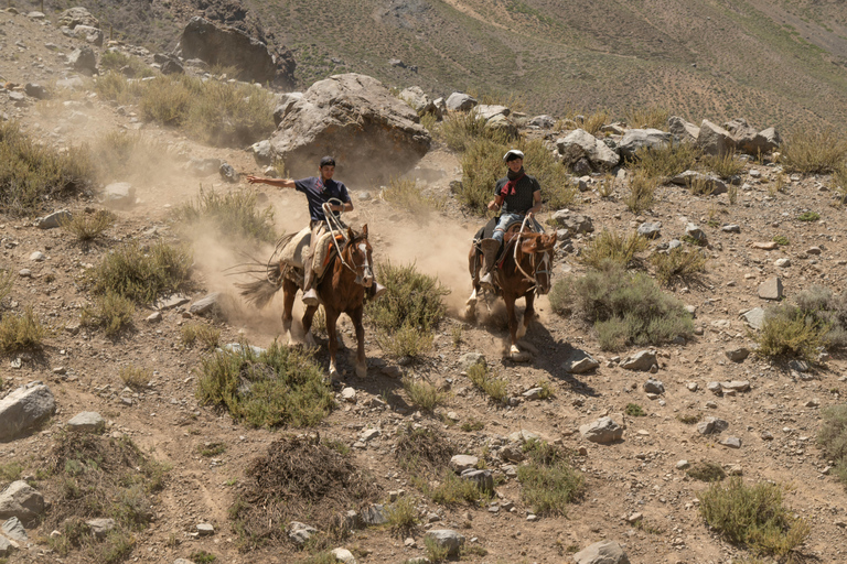 Phoenix: Cowboy Cookout Horseback Ride with Dinner