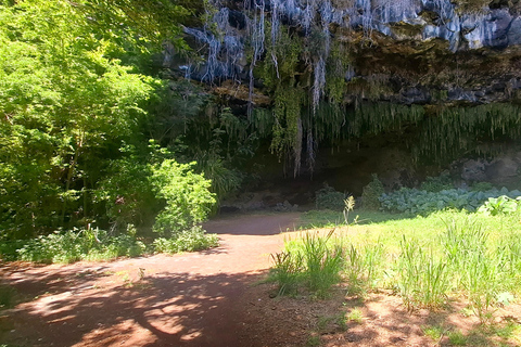Saint-Paul: Guided walk - Settlement Cave and Cemeteries - Saint Paul: Guided Walk - Settlement Cave and Cemeteries -
