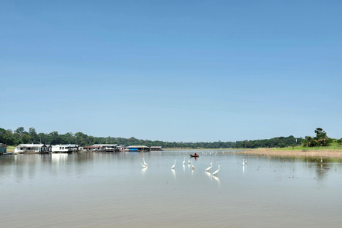 Manaus: Private Amazon Sunset and Night Tour by Speedboat