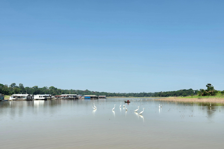 Manaus: Private Amazon Sunset and Night Tour by Speedboat