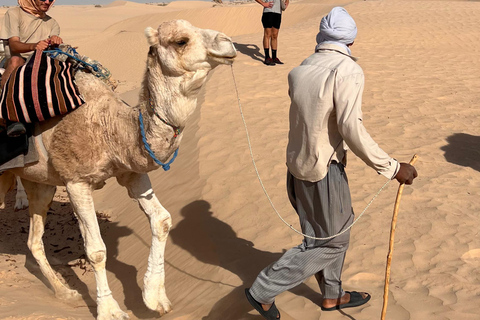 Eintauchen in die Sahara: 2-Nächte-Camp und Biwak-Abenteuer