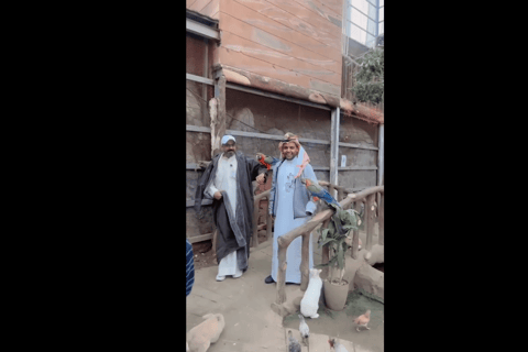 Makkah or Jeddah to Al-Hada, Al-Shafa, and Taif City Tour A journey full of experiences، learn about Saudi hospitality