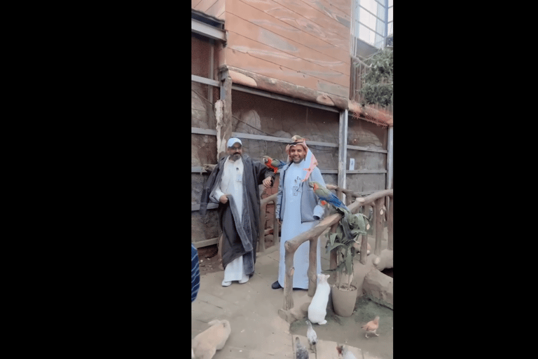 Makkah or Jeddah to Al-Hada, Al-Shafa, and Taif City Tour A journey full of experiences، learn about Saudi hospitality