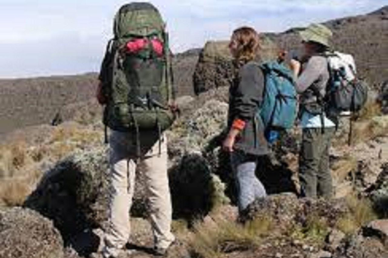 Kilimanjaro Marangu Route 6 Days : Best Friendly Route