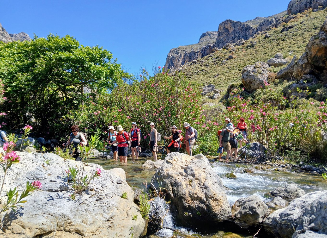 Kourtaliotiko Gorge: Guidet flodvandring med frokost