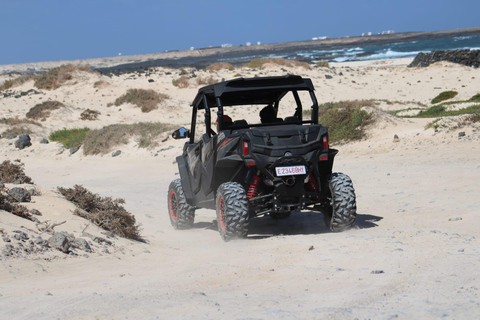 Exclusif : 2 heures d&#039;excursion en buggy à travers Fuerteventura pour un maximum de 4 personnes !